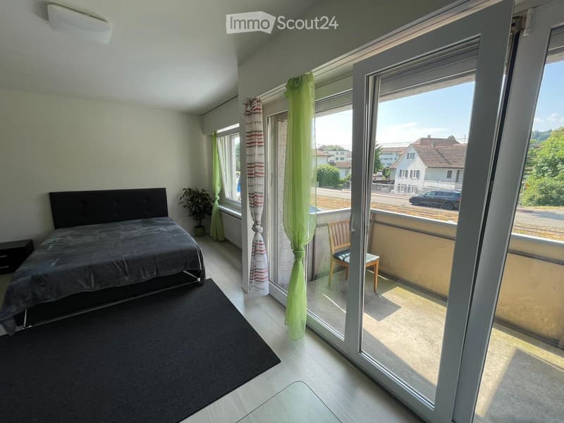 Appartamenti di 1,5 locali a Dietikon (3)