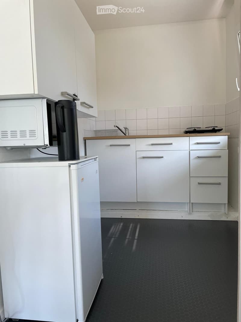Appartamenti di 1,5 locali a Dietikon (5)