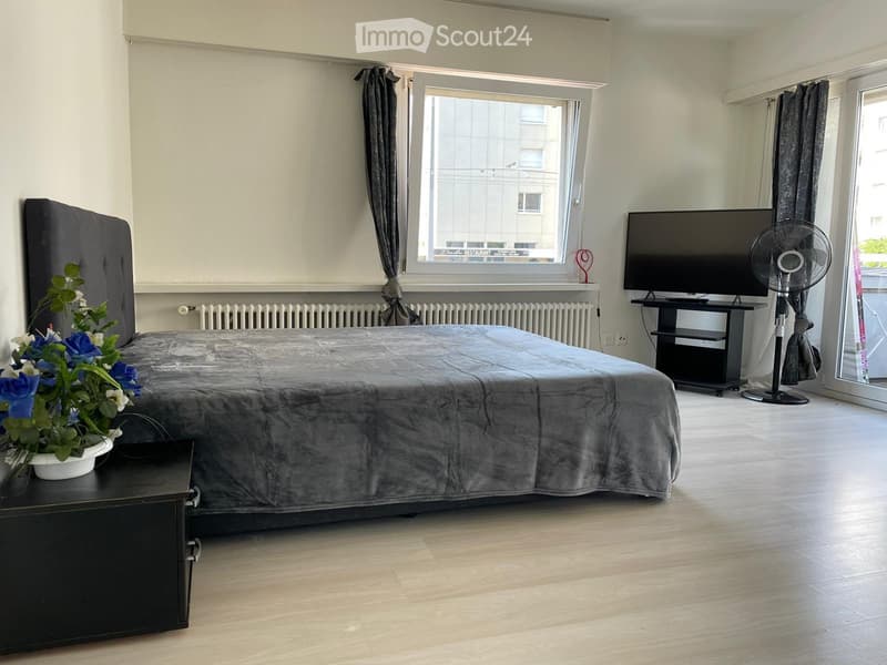 Appartamenti di 1,5 locali a Dietikon (4)