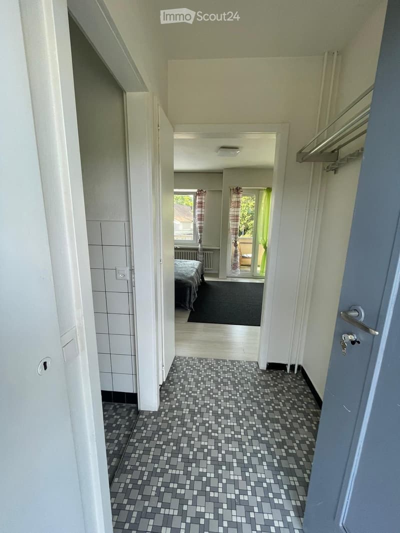 Appartamenti di 1,5 locali a Dietikon (2)