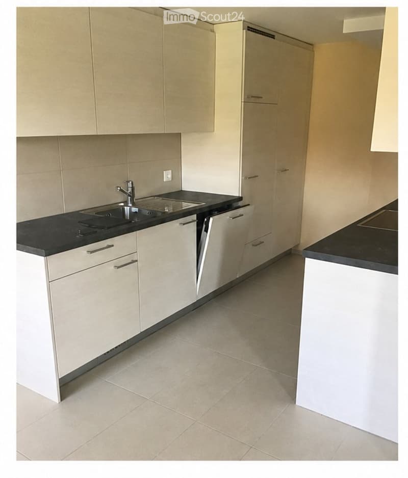 Ampio appartamento duplex di 4,5 locali - Echallens (3)