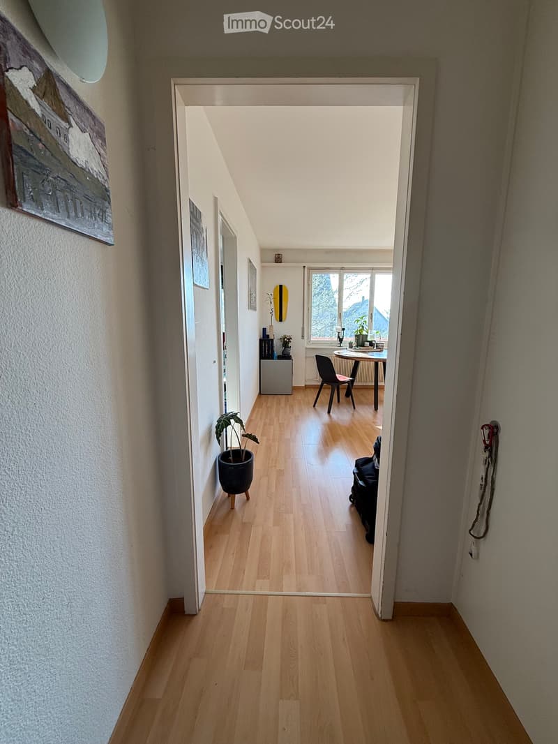 Appartamento 1.5 locali a Höngg / Frankental (3)