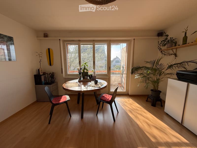 Appartamento 1.5 locali a Höngg / Frankental (2)