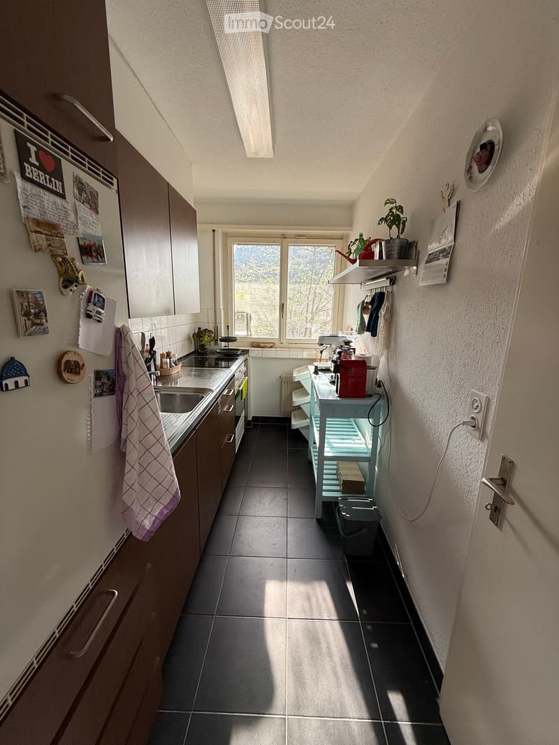 Appartamento 1.5 locali a Höngg / Frankental (4)