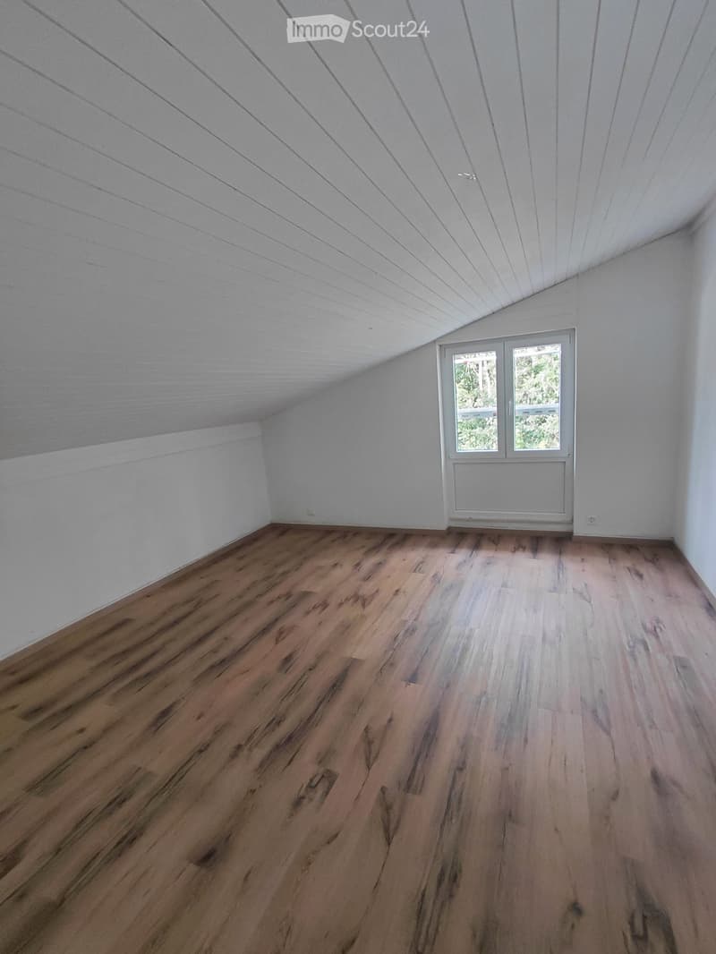 Renovated 2-room apartment for rent in Brig (3)