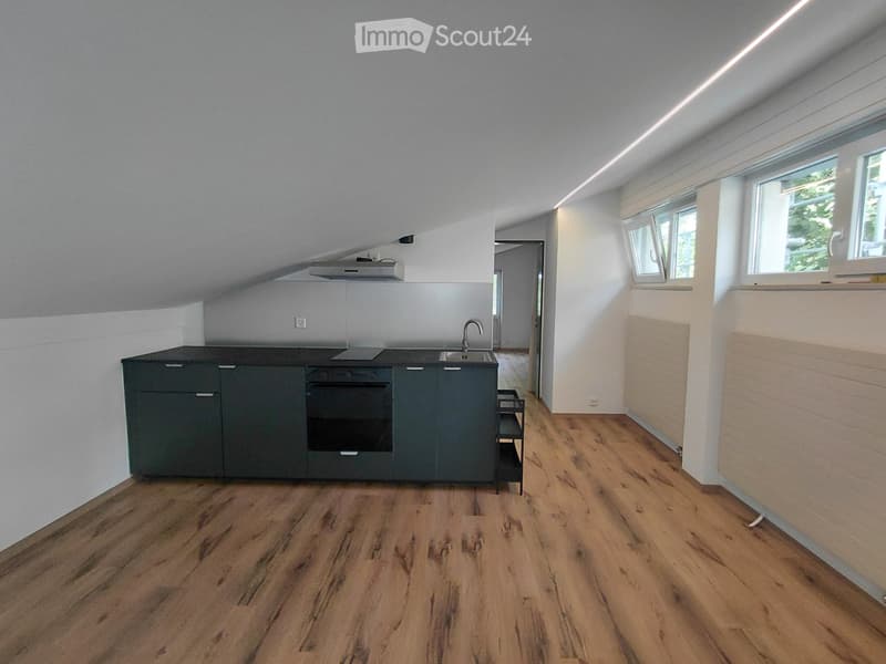 Renovated 2-room apartment for rent in Brig (5)
