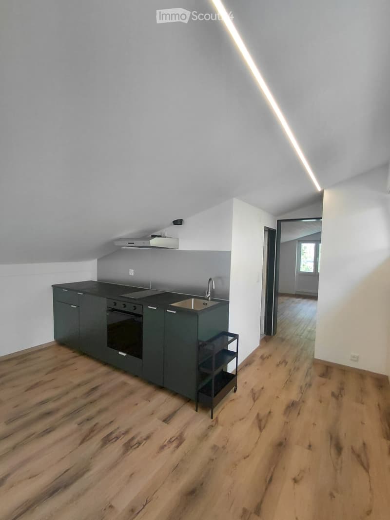 Renovated 2-room apartment for rent in Brig (4)