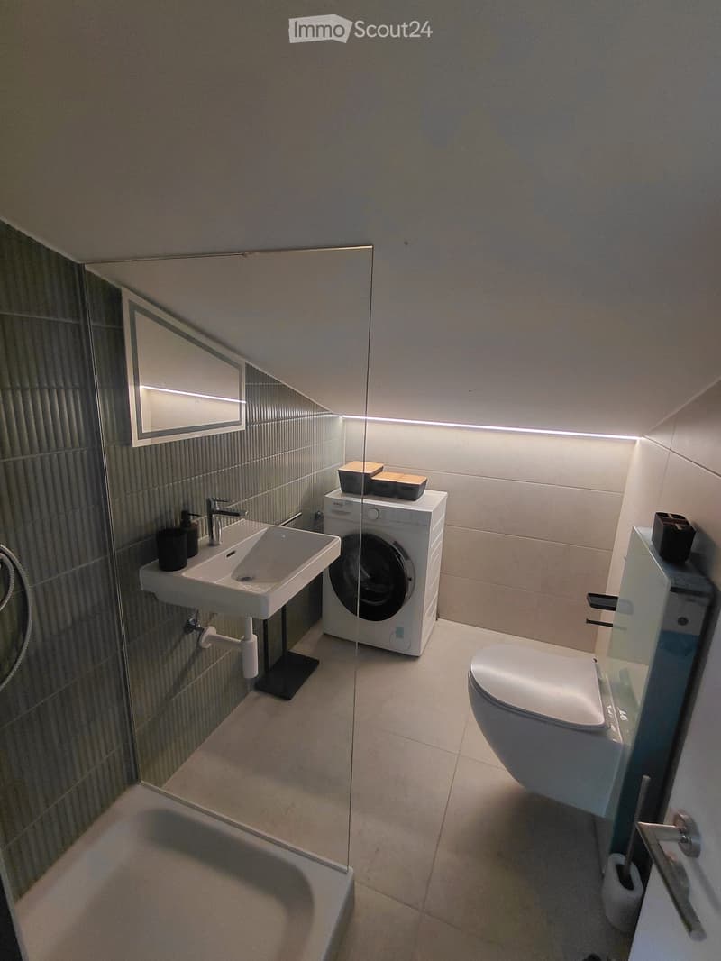 Renovated 2-room apartment for rent in Brig (2)