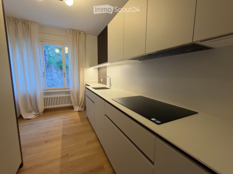 Appartement avec vue sur le lac, vient de être rénové (2)