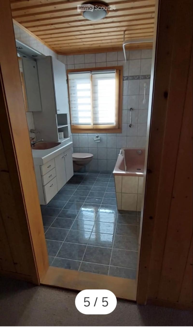 Delizioso piccolo chalet (2)