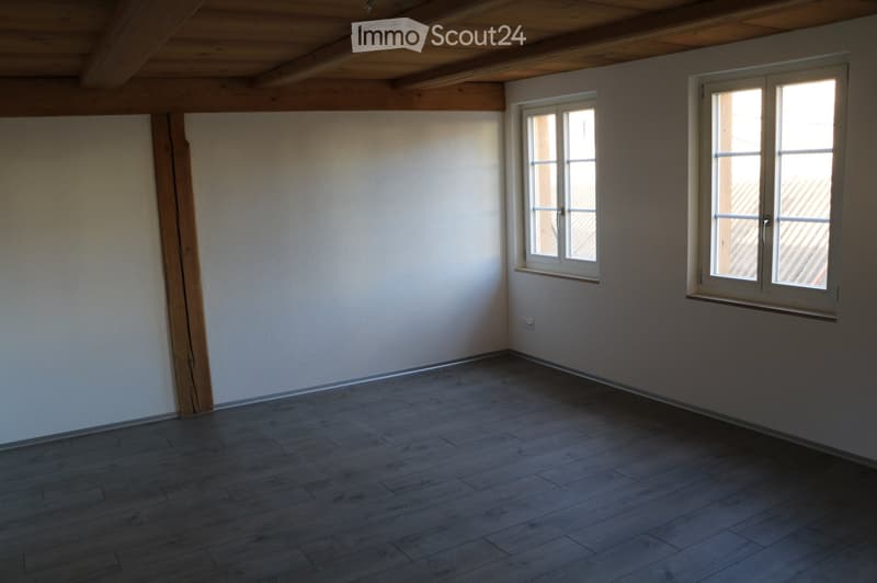 À louer : appartement 4,5 pièces avec galerie (5)