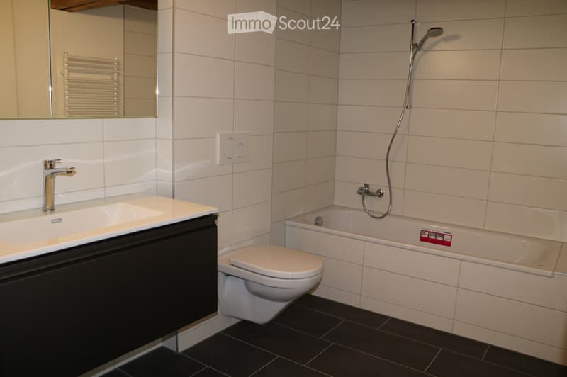 À louer : appartement 4,5 pièces avec galerie (3)