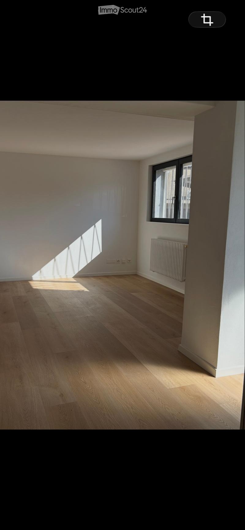 Appartement 3.5 Mendrisio avec jardin (5)