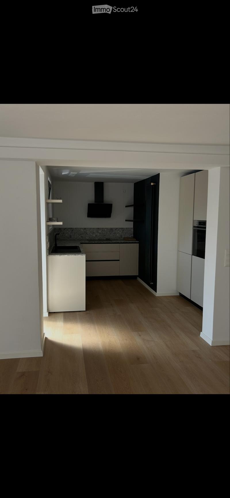 Appartement 3.5 Mendrisio avec jardin (3)