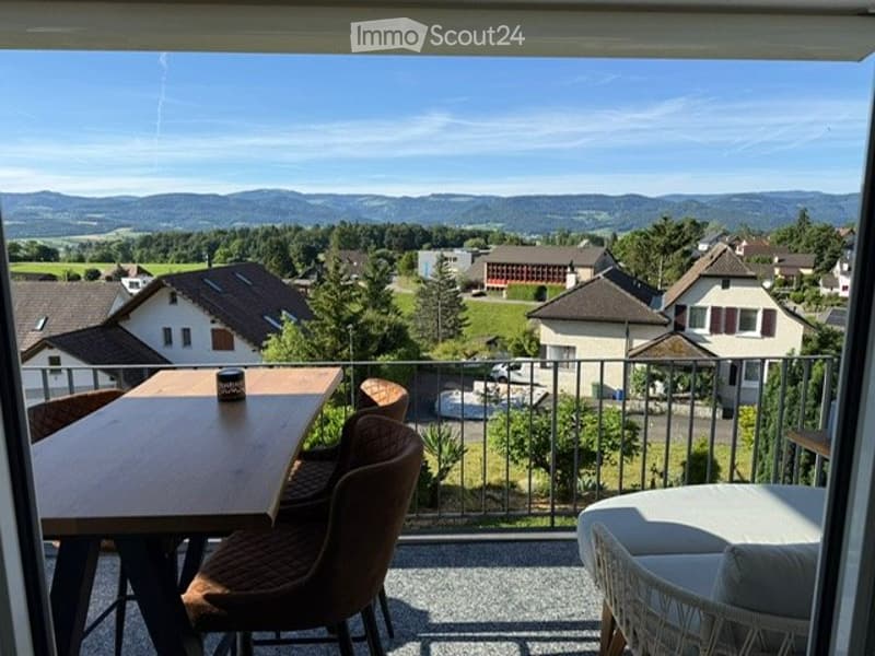 Blauen BL / appartamento luminoso 3.5 locali (110 m²) con balcone sud (1)