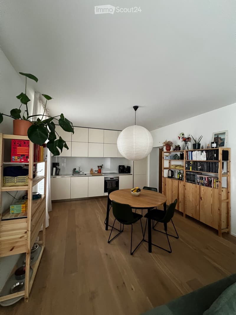 Modern and bright 3.5 rooms in the center of Bellinzona (1)