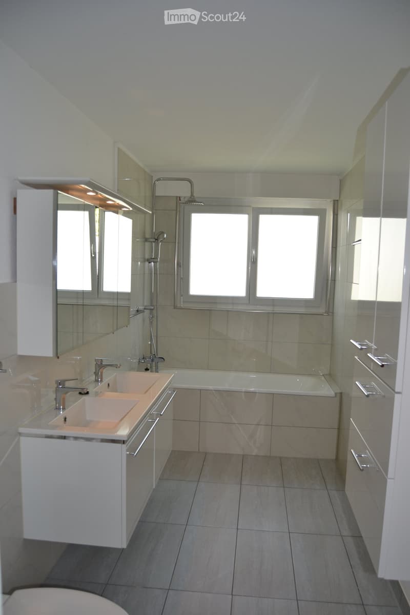 Appartement ensoleillé de 4,5 pièces à louer immédiatement (2)