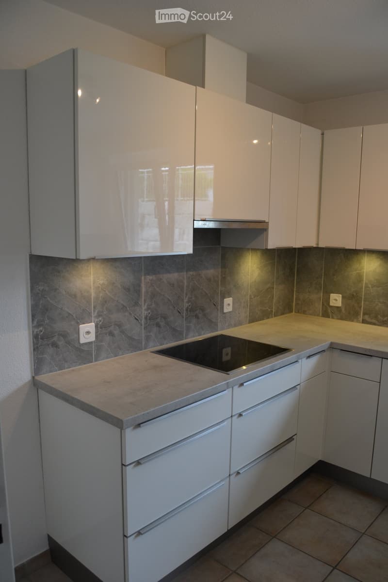 Appartement ensoleillé de 4,5 pièces à louer immédiatement (3)