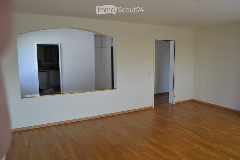 Lichtdurchflutete 4.5 Zi.Whg mit Panoramasicht und Terrasse (5)