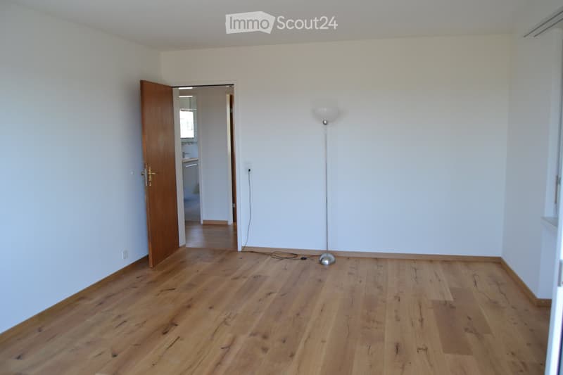 Appartement ensoleillé de 4,5 pièces à louer immédiatement (4)