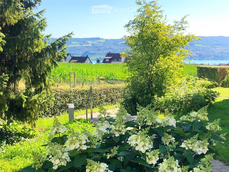 Beautiful Furnished Apartment on Zurich Lake (2)