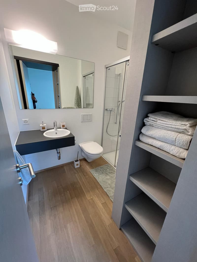 Ampio monolocale a Lugano (4)