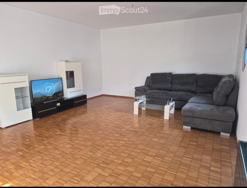 Looking for sublessee July free (1)