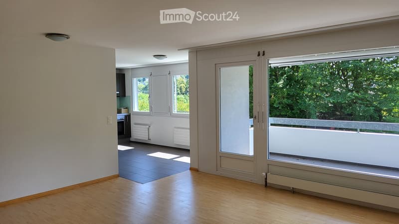 Appartement nouvellement rénové (1)