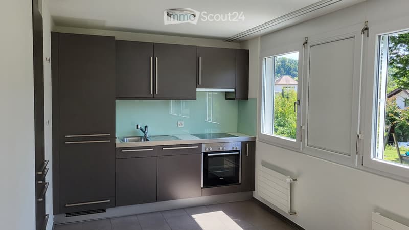 Appartement nouvellement rénové (3)