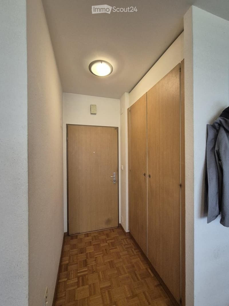 Incantevole appartamento di 2 locali a Meyrin (2)