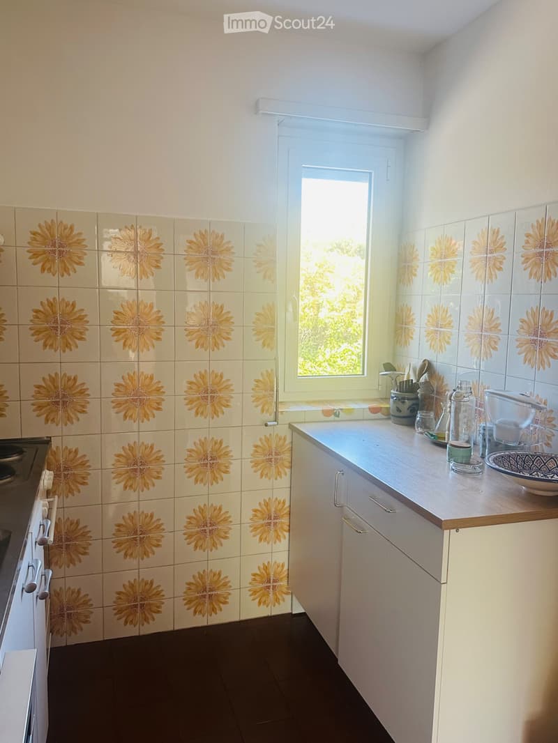 Appartement lumineux 4.5 pièces avec balcon et jardin, Bedano (3)