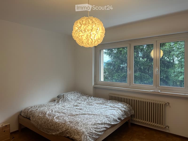 Appartement lumineux 4.5 pièces avec balcon et jardin, Bedano (4)