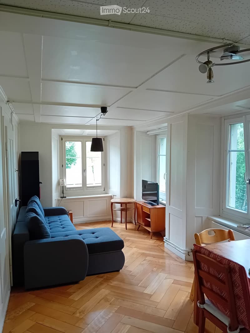 Appartamento in un edificio storico direttamente sul lago (3)