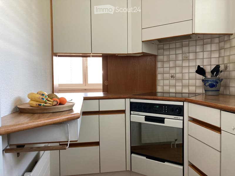 Casa di 5,5 locali con terreno circostante (3)