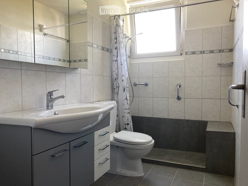 Casa di 5,5 locali con terreno circostante (4)