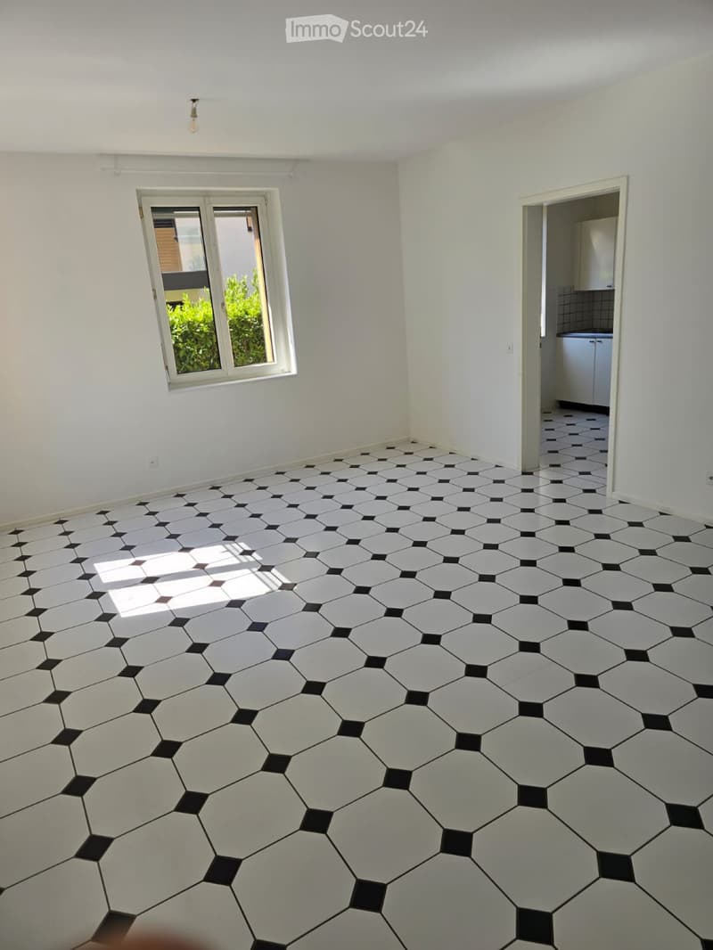 Apartment for rent with garden (3)