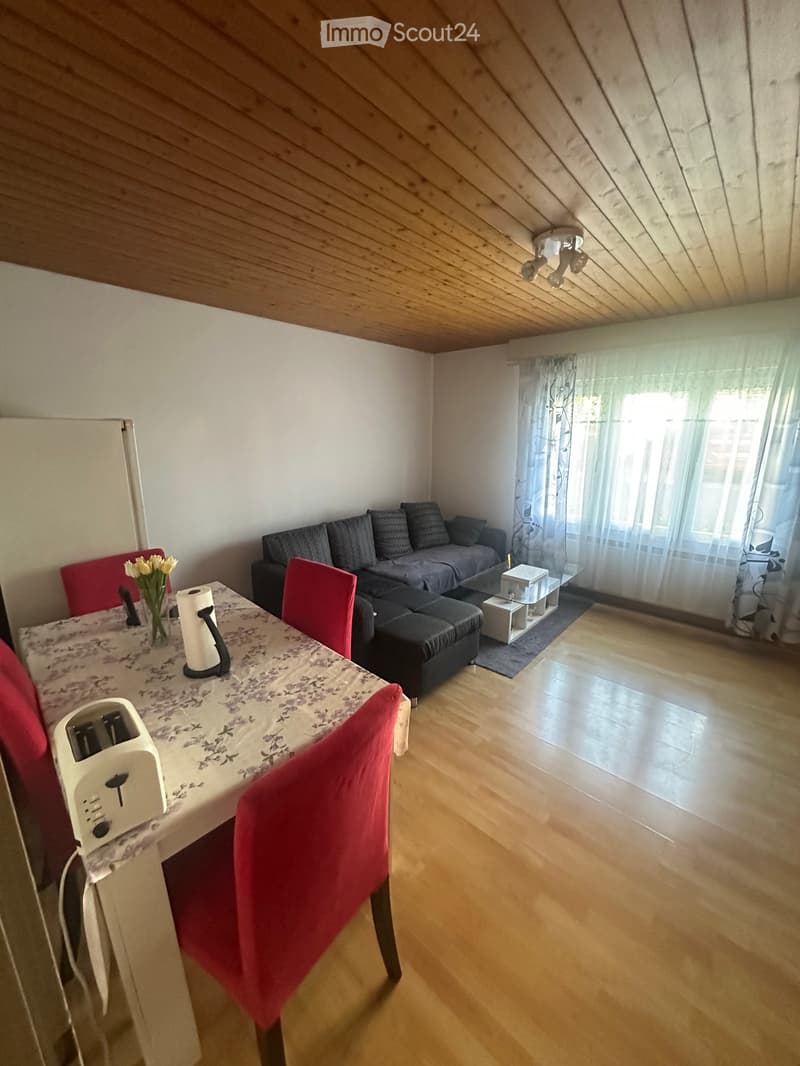 Appartamento 2 Camere (1)