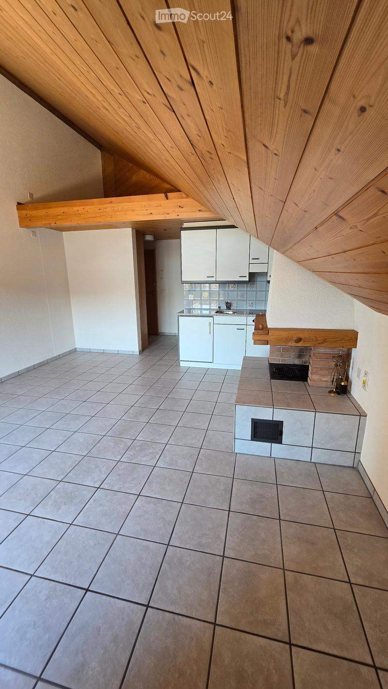 Incantevole appartamento mansardato di 1,5 locali con galleria e balcone (2)