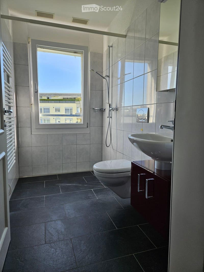 Charmant appartement 2,5 pièces à Winterthur (3)