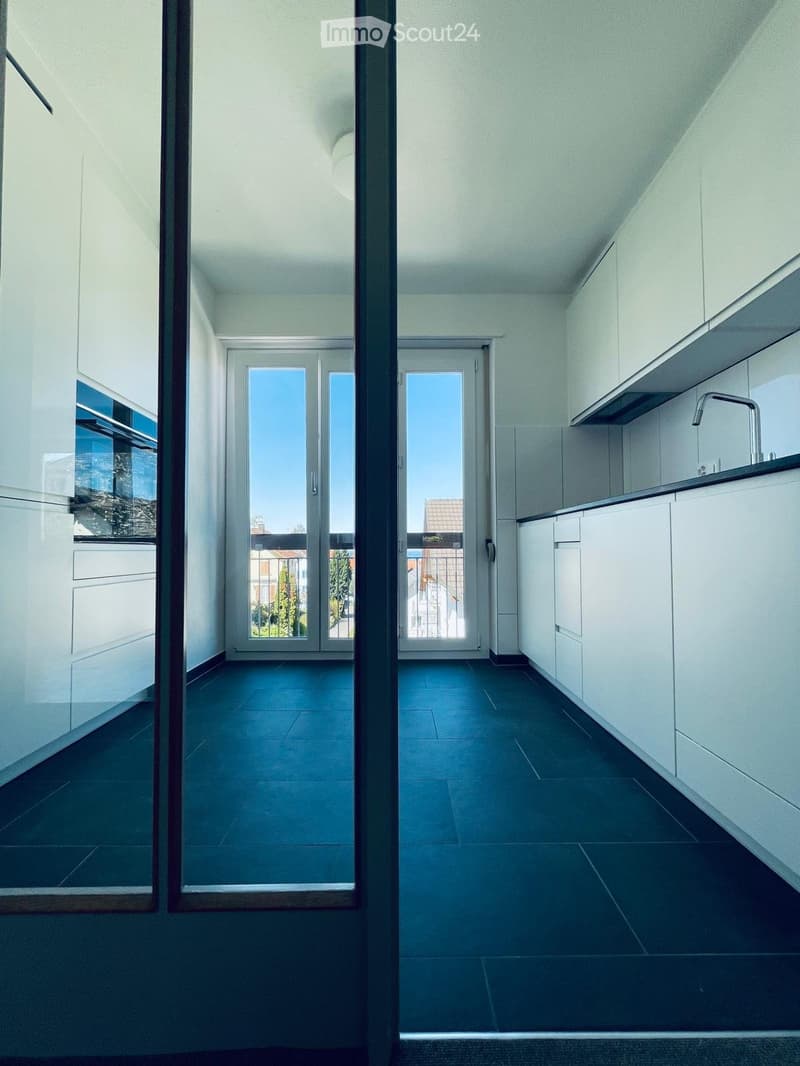 Vista sul lago e sulla montagna, ampio balcone e garage singolo (3)