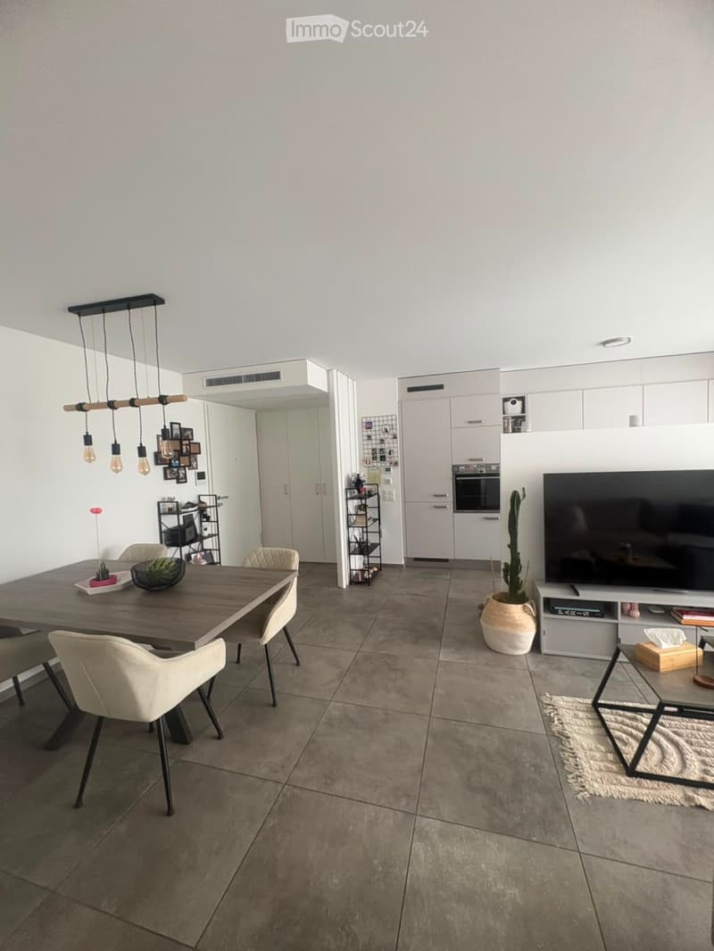 3.5 Room Apartment (1)