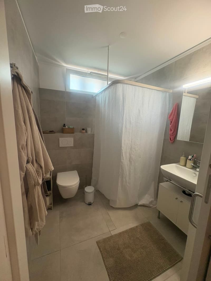 3.5 Room Apartment (4)