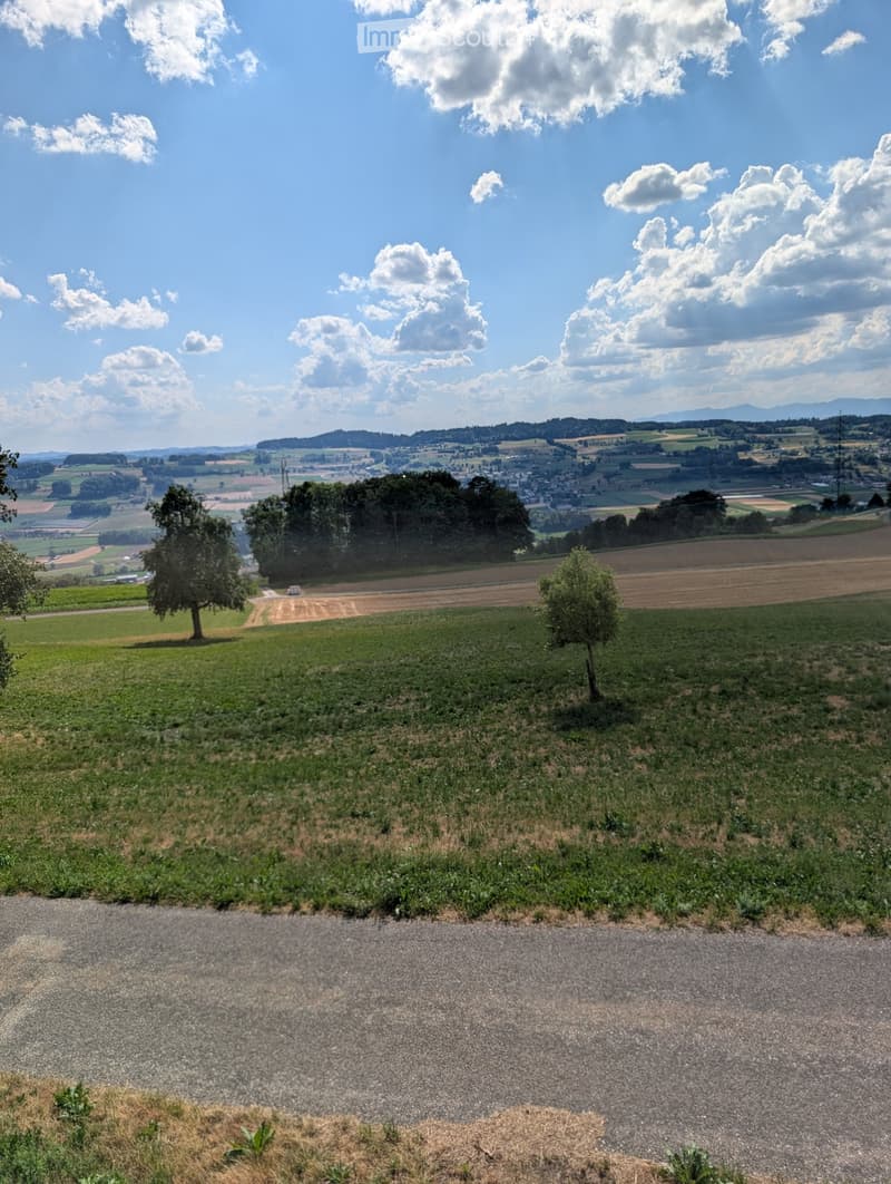 Appartamento 5,5 locali in una fattoria idillica (4)