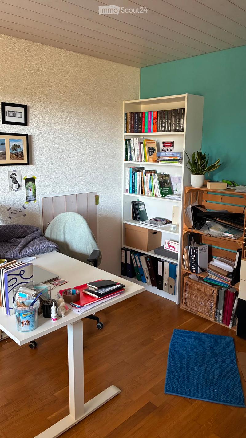 Appartamento di 4,5 locali al 1° piano di una casa colonica (5)