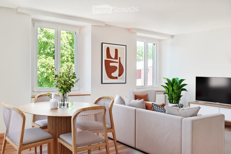 Appartement de 3 pièces rénové et lumineux (2)