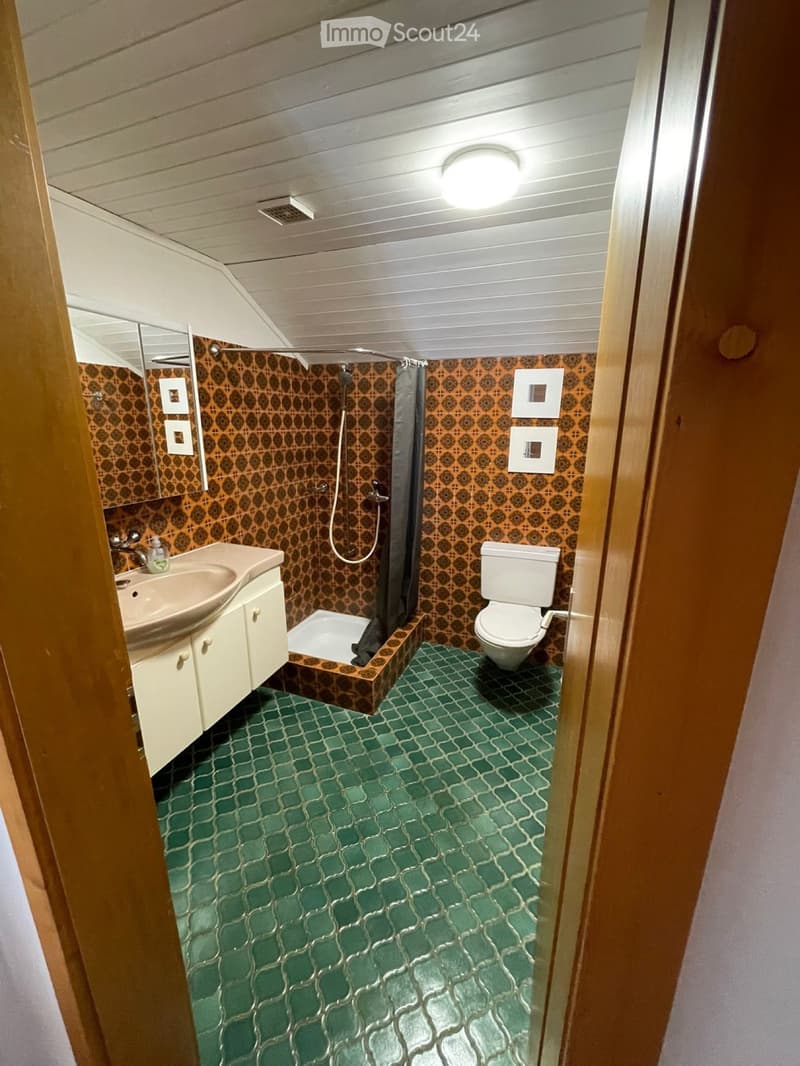 3½-Zimmer-Dachwohnung (3)