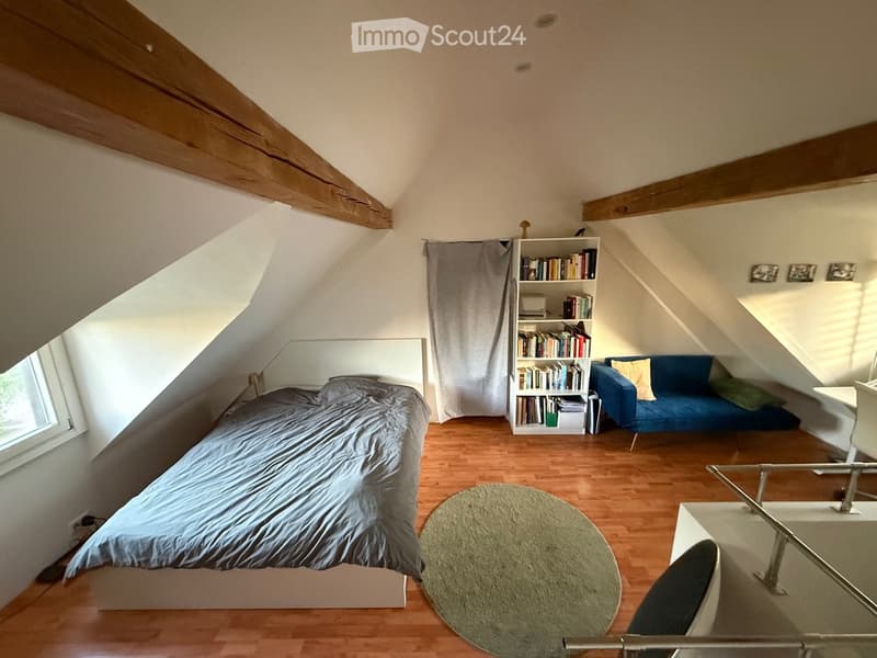 Grosszügiges Dachzimmer in WG-Haus mit Garten in ZH-Höngg (3)