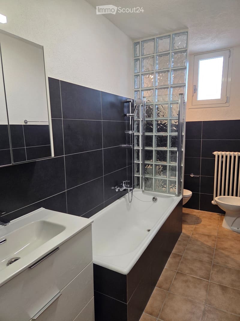 Wohnung 3.5 Zimmer (1)