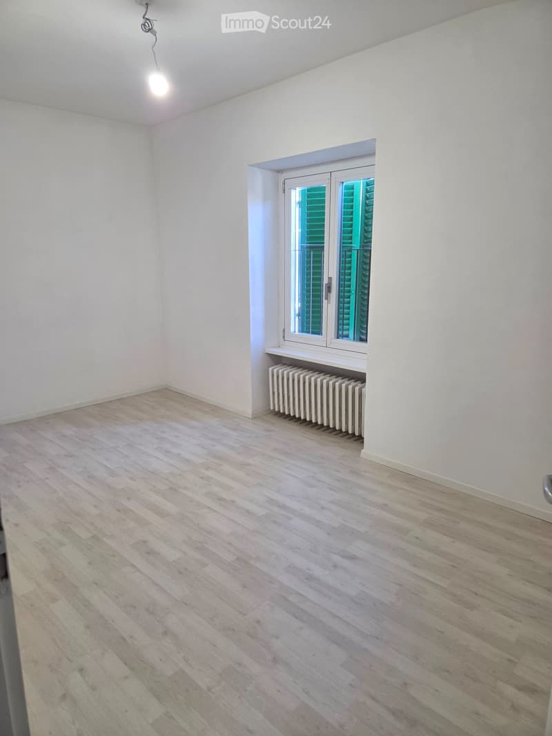 Wohnung 3.5 Zimmer (5)