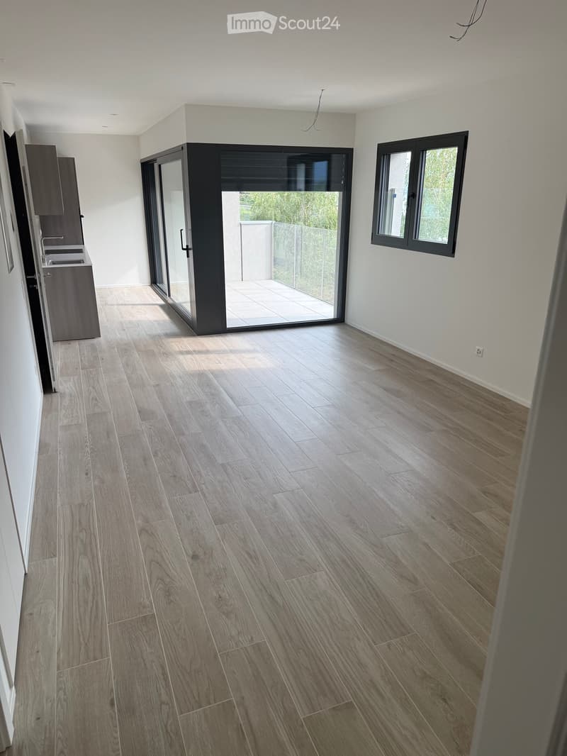 Location - Vente appartement avec vue sur le lac (1)